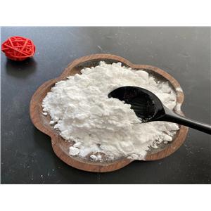 伊维菌素,Ivermectin