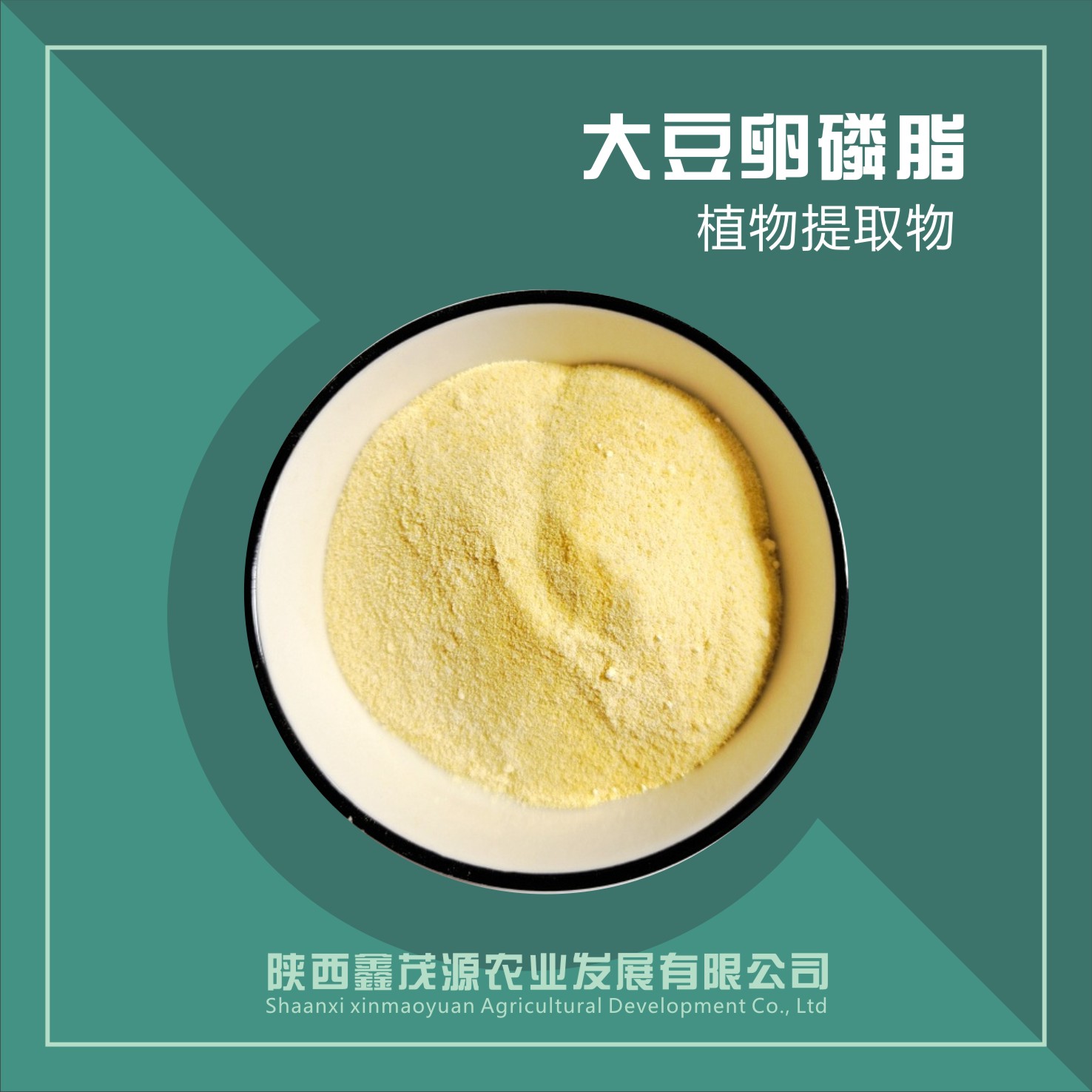 大豆卵磷脂,Soybean lecithin