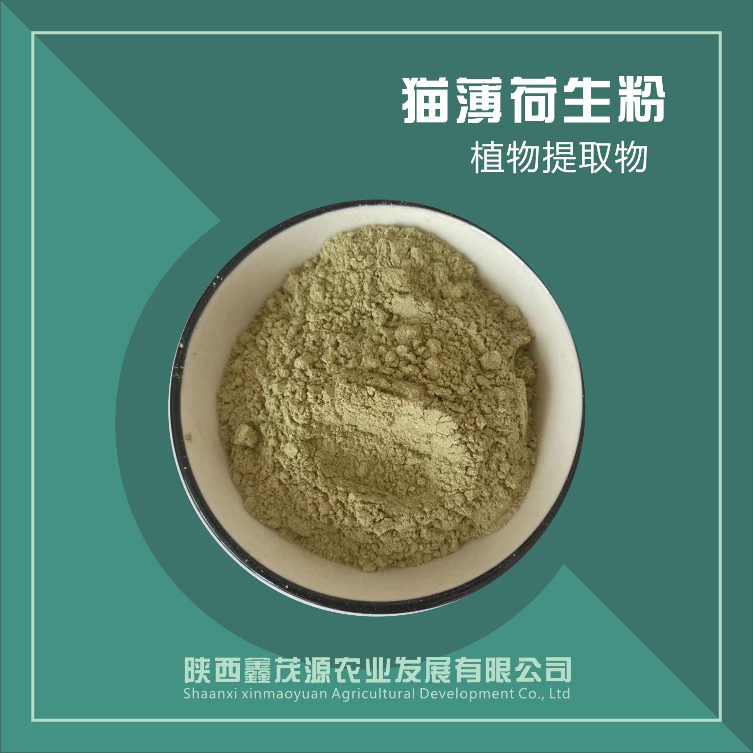 貓薄荷粉,The cat mint powder