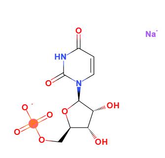 5’-尿苷酸二钠,5'-UMP disodium salt