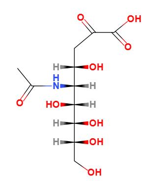 N-乙酰神经氨酸,N-acetylneuraminic acid