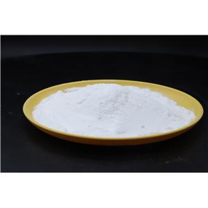 盐酸噻氯匹定,Ticlopidine Hydrochloride