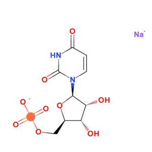 5’-尿苷酸二钠,5