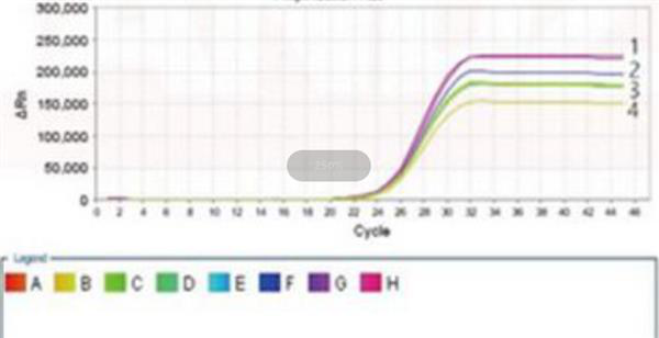 单端孢霉属通用探针法荧光定量PCR试剂盒,Trichothecium spp.