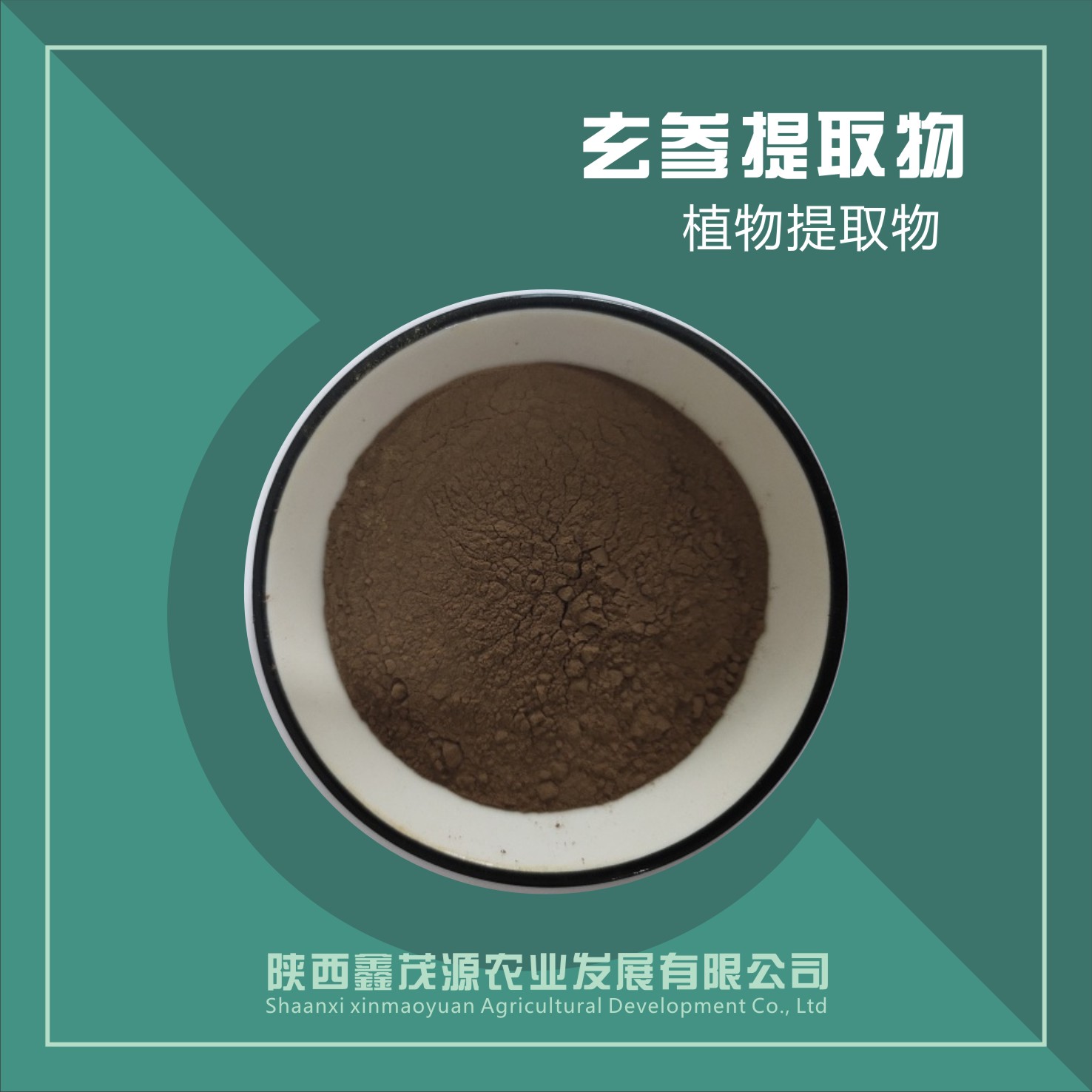 玄參提取物,Root root extract