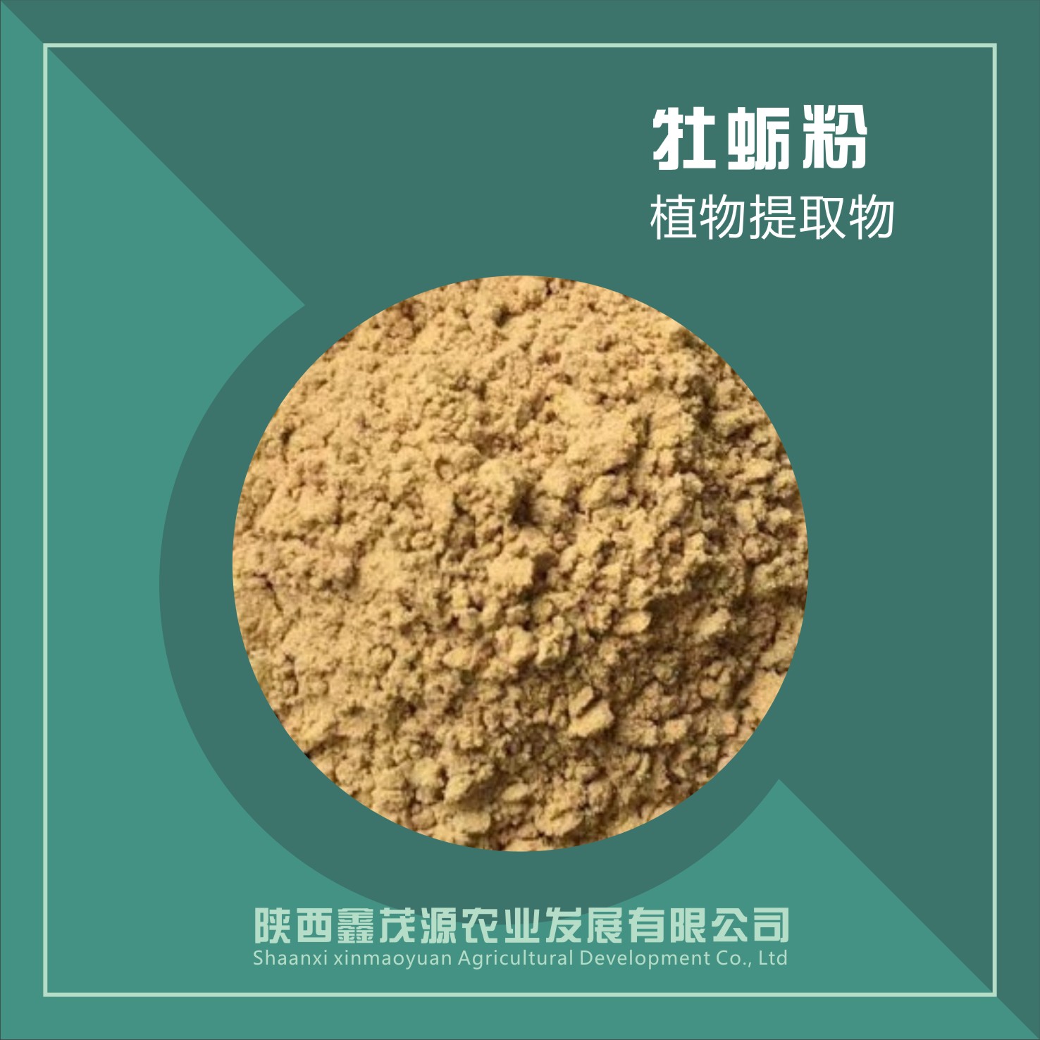 牡蠣粉,Oyster powder