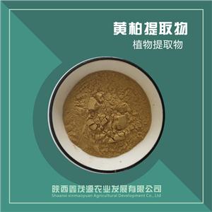 黄柏提取物,Phellodendron chinense extract