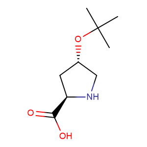 L-4-羟脯氨酸叔丁酯,H-Hyp(tBu)-OH