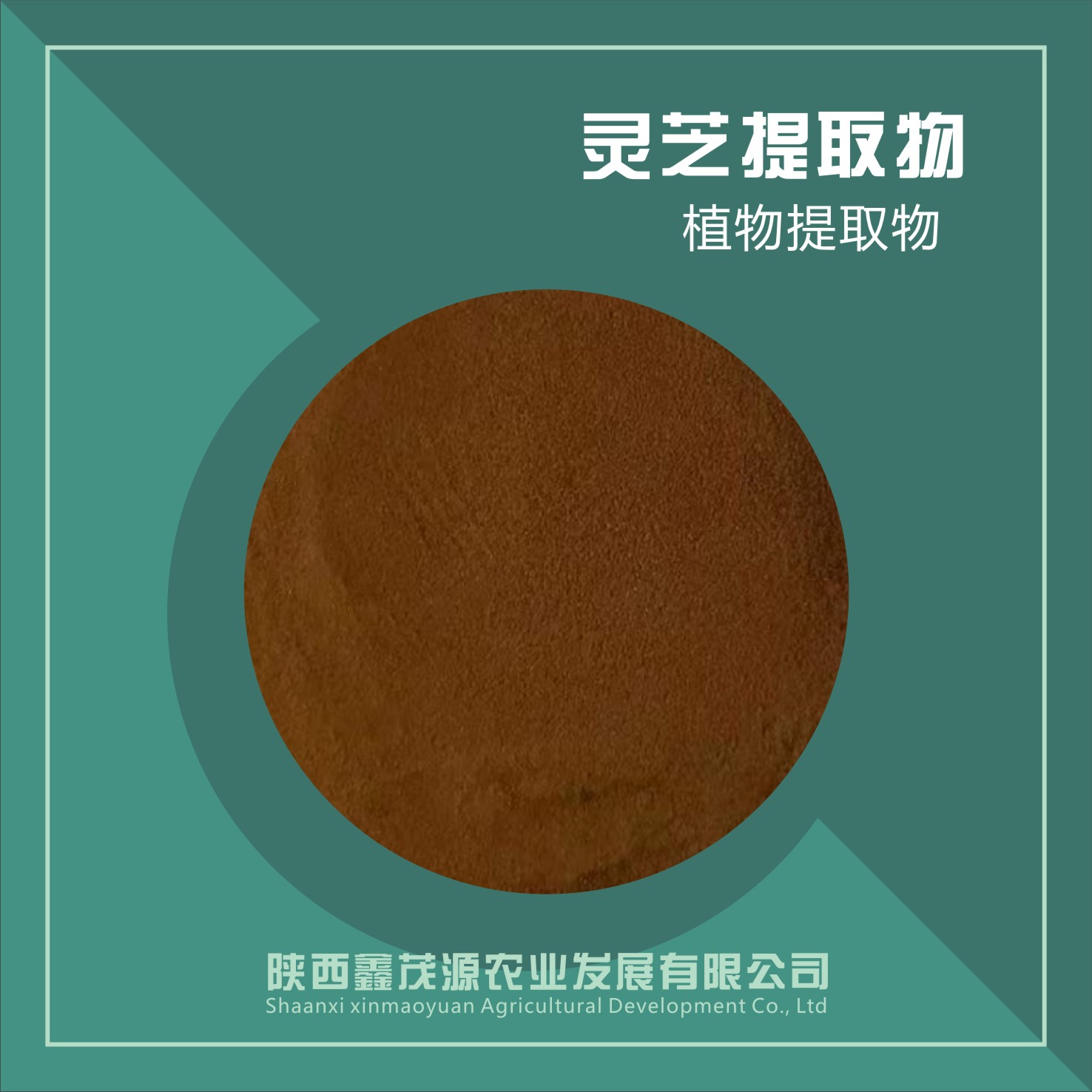 靈芝提取物,Ganoderma lucidum extract