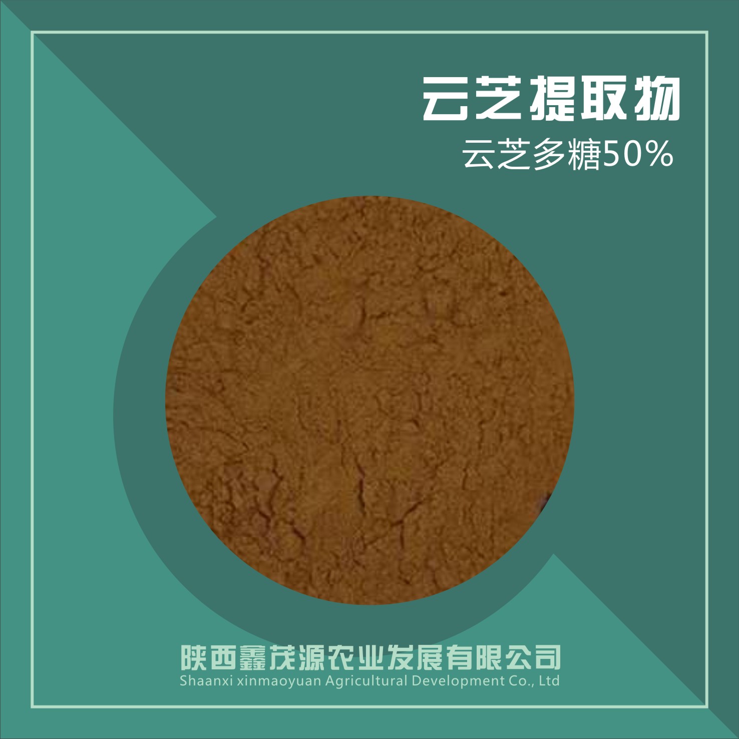 云芝提取物,Yunzhi extract