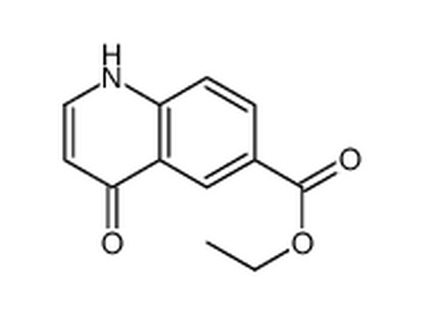 4-羟基-6-喹啉羧酸乙酯,ethyl 4-oxo-1H-quinoline-6-carboxylate