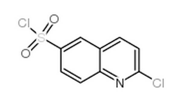 2-氯喹啉-6-磺酰氯,2-chloroquinoline-6-sulfonyl chloride