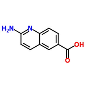 2-氨基喹啉-6-羧酸,2-Amino-6-quinolinecarboxylic acid