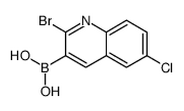 B-(2-溴-6-氯-3-喹啉)硼酸,(2-bromo-6-chloroquinolin-3-yl)boronic acid