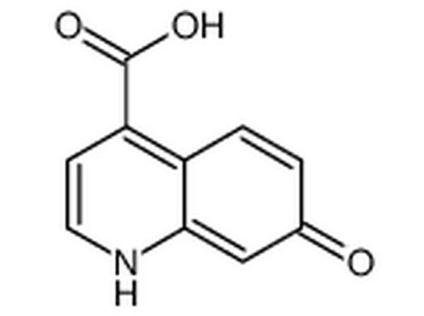 7-羟基-4-喹啉羧酸,7-oxo-1H-quinoline-4-carboxylic acid