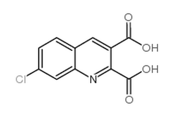 7-氯喹啉-2,3-二羧酸,7-chloroquinoline-2,3-dicarboxylic acid