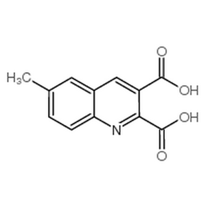 6-甲基喹啉-2,3-二羧酸