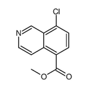 8-氯异喹啉-5-羧酸甲酯,methyl 8-chloroisoquinoline-5-carboxylate