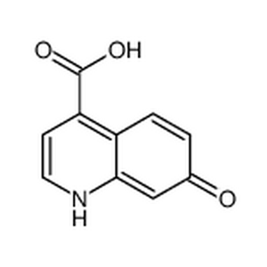 7-羟基-4-喹啉羧酸,7-oxo-1H-quinoline-4-carboxylic acid