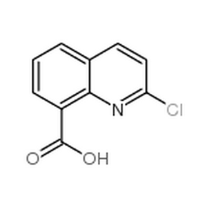 2-氯-8-喹啉甲酸