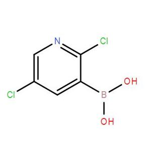 2,5-二氯吡啶-3-硼酸,2,5-Dichloropyridine-3-boronic acid