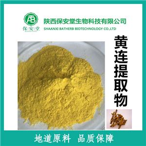 厂家现货供应黄连提取物黄连素 盐酸小檗碱60%HPLC