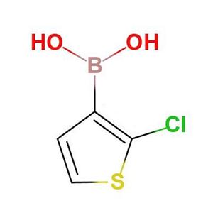 2-氯噻吩-3-硼酸