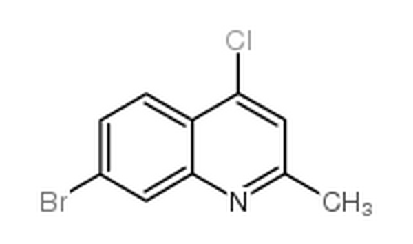 7-溴-4-氯-2-甲基喹啉,7-Bromo-4-chloro-2-methylquinoline