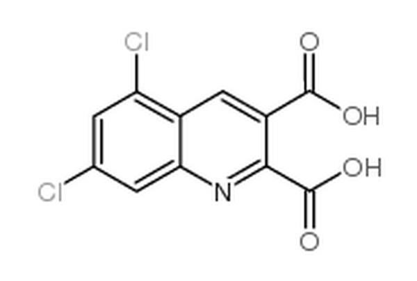 5,7-二氯喹啉-2,3-二羧酸,5,7-Dichloroquinoline-2,3-dicarboxylic acid