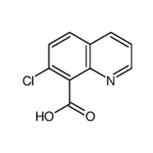 7-氯-8-喹啉羧酸
