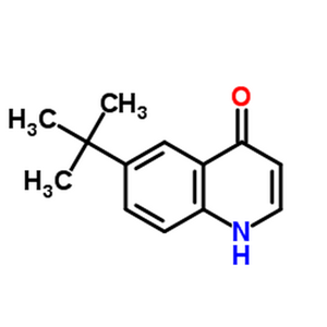 6-叔丁基-4-羟基喹啉