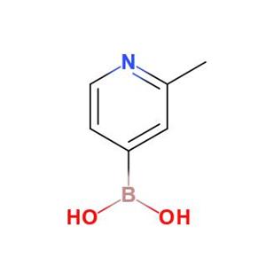2-甲基-4-吡啶硼酸