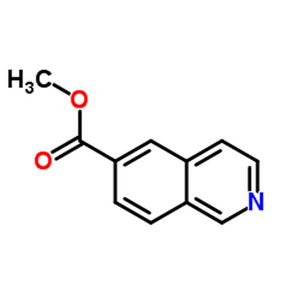 6-异喹啉甲酸甲酯