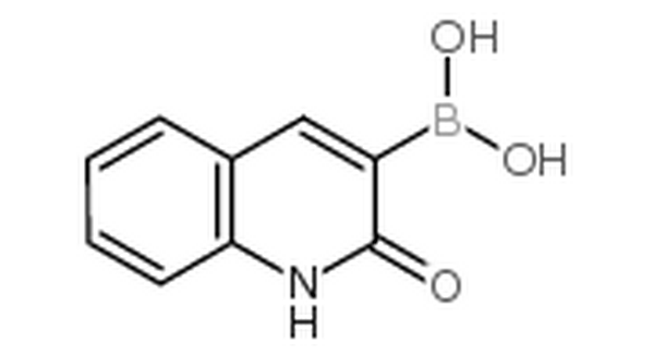 2-羟基喹啉-3-基硼酸,(2-oxo-1H-quinolin-3-yl)boronic acid