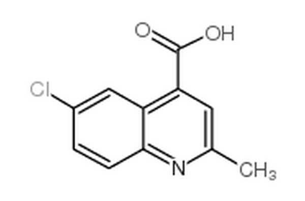 6-氯-2-甲基喹啉-4-羧酸,6-chloro-2-methylquinoline-4-carboxylic acid