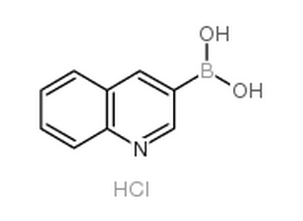 喹啉-3-硼酸鹽酸鹽,Quinoline-3-boronic acid, HCl