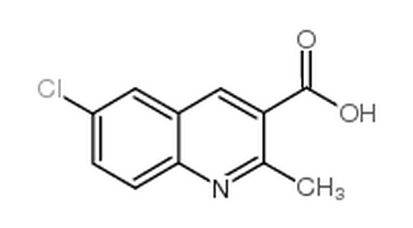 6-氯-2-甲基-喹啉-3-羧酸,6-chloro-2-methylquinoline-3-carboxylic acid