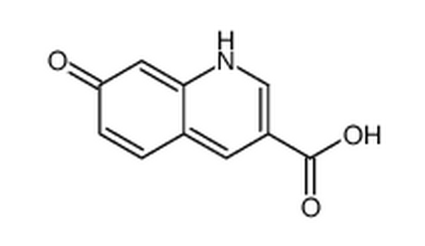 7-羥基喹啉-3-羧酸,7-oxo-1H-quinoline-3-carboxylic acid