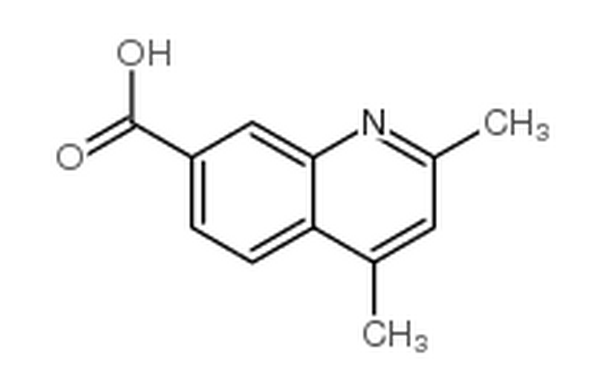 2,4-二甲基喹啉-7-羧酸,2,4-dimethylquinoline-7-carboxylic acid