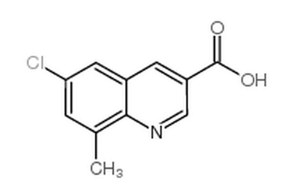 6-氯-8-甲基喹啉-3-羧酸,6-Chloro-8-methylquinoline-3-carboxylic acid