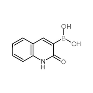 2-羟基喹啉-3-基硼酸