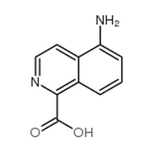 5-氨基-异喹啉-1-羧酸