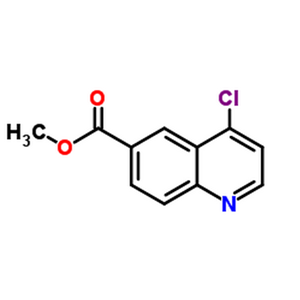 4-氯喹啉-6-羧酸甲酯