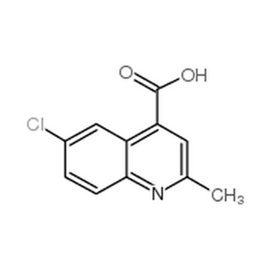 6-氯-2-甲基喹啉-4-羧酸
