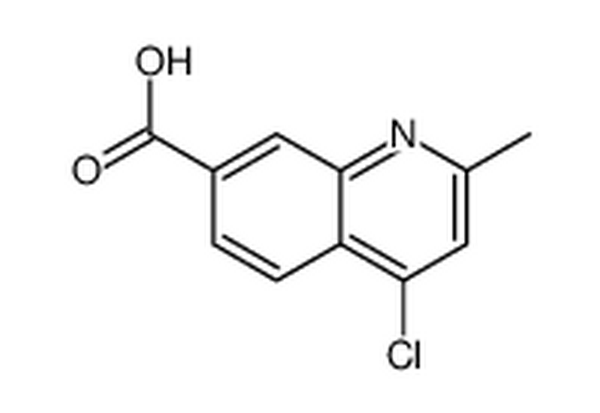 4-氯-2-甲基喹啉-7-羧酸,4-chloro-2-methylquinoline-7-carboxylic acid
