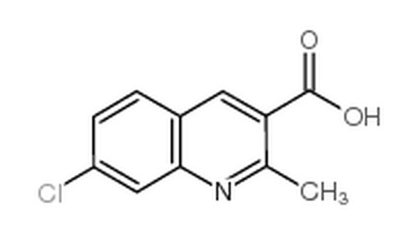 7-氯-2-甲基-喹啉-3-羧酸,7-chloro-2-methylquinoline-3-carboxylic acid