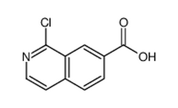 1-氯-7-异喹啉羧酸,1-chloroisoquinoline-7-carboxylic acid