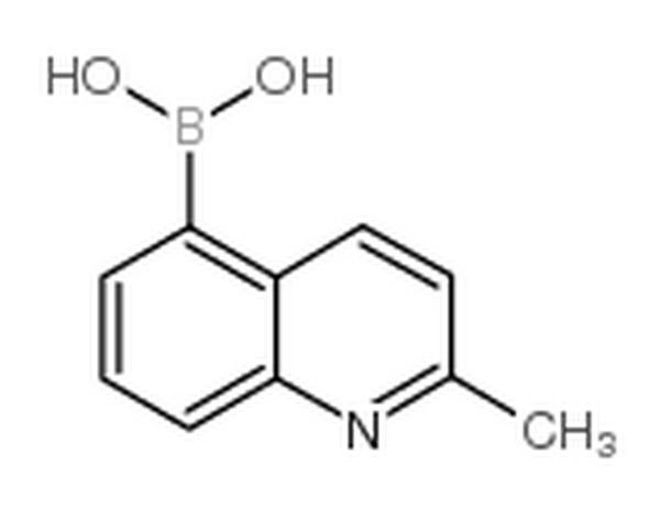 (2-甲基-5-喹啉)硼酸,(2-methylquinolin-5-yl)boronic acid
