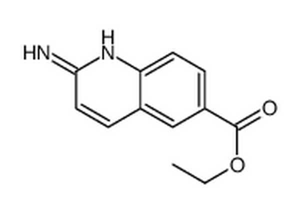 2-氨基-6-喹啉羧酸乙酯,ethyl 2-aminoquinoline-6-carboxylate