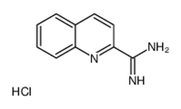 喹啉-2-羧酰胺盐酸盐,Quinoline-2-carboximidamide hydrochloride